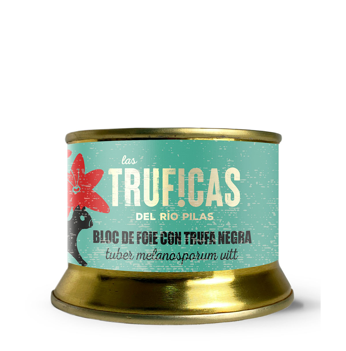 Bloc de foie con trufa negra tuber melanosporum vitt