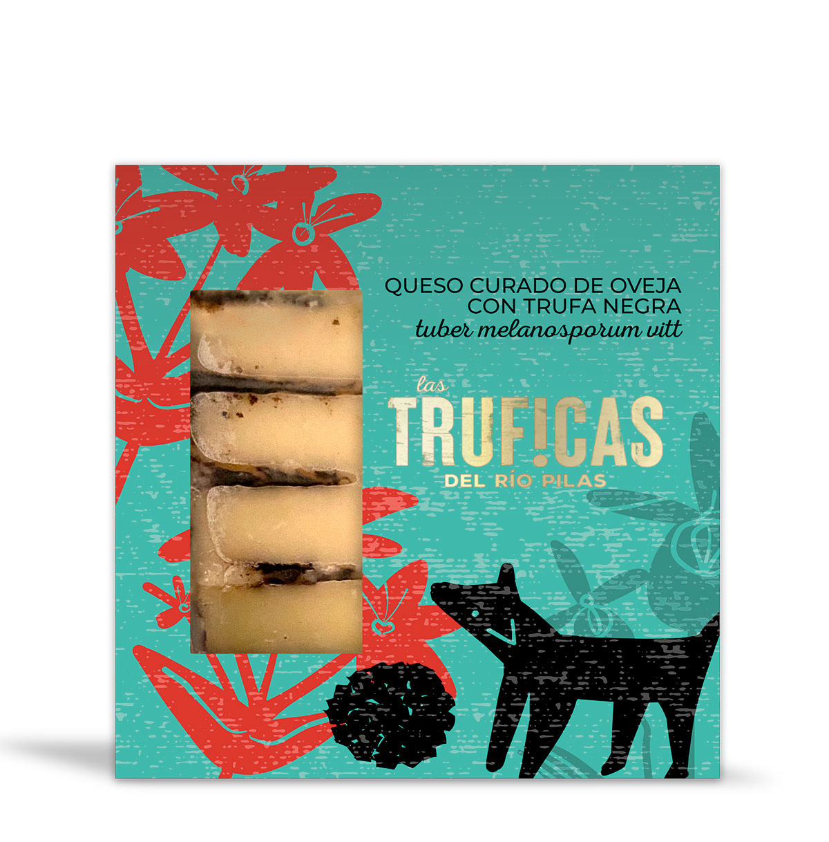 Queso curado de oveja con trufa negra tuber melanosporum vitt