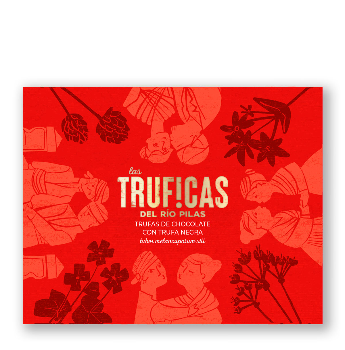 Trufas de chocolate con trufa negra tuber melanosporum vitt