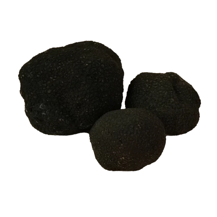 Trufa_Fresca_Truficas_00_1
