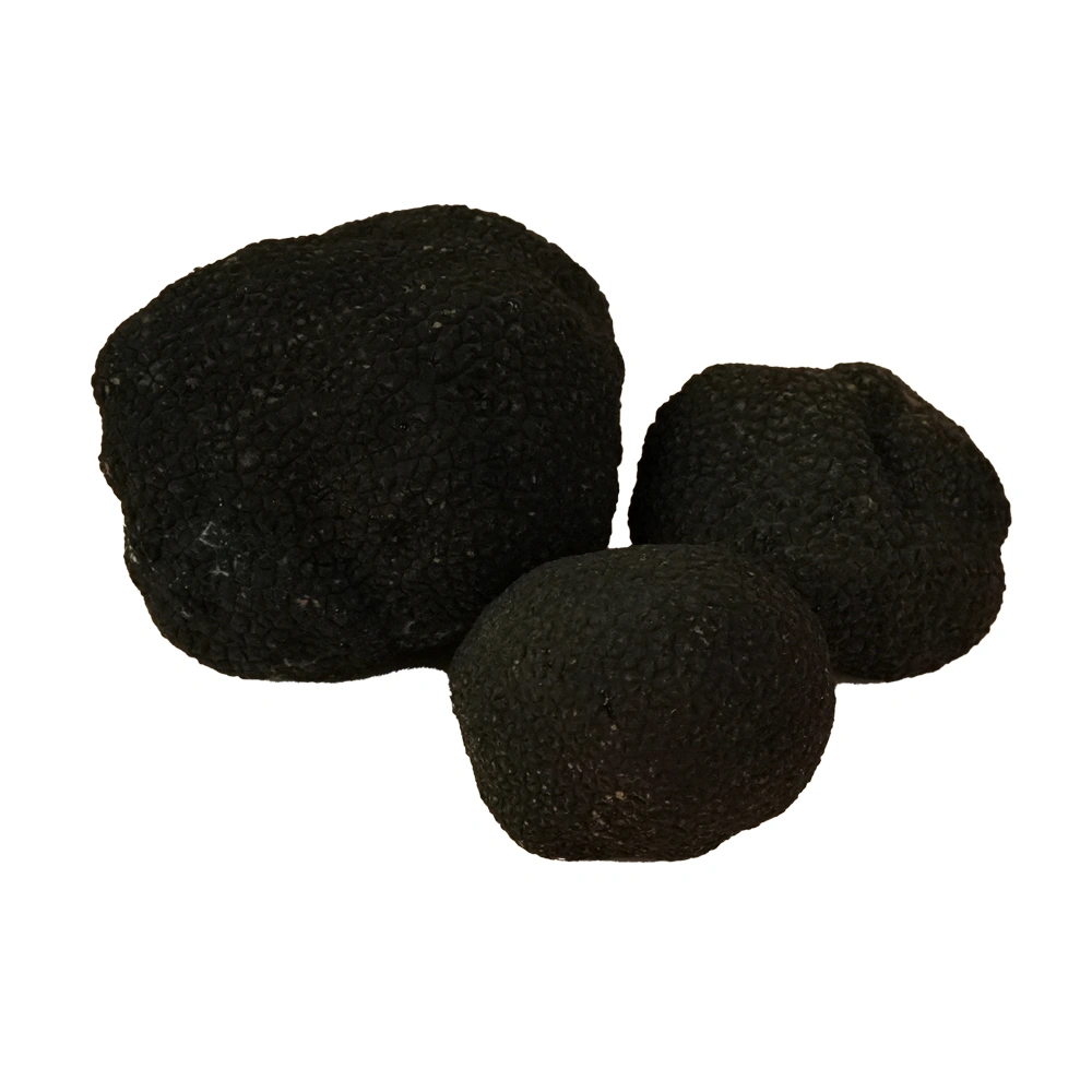 Trufa_Fresca_Truficas_01