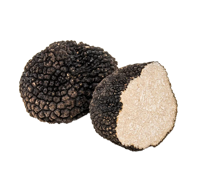 Trufa blanca de verano/ Tuber aestivium