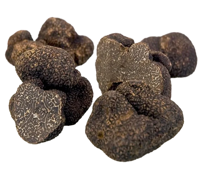 Trufa negra/ Tuber melanosporum vitt