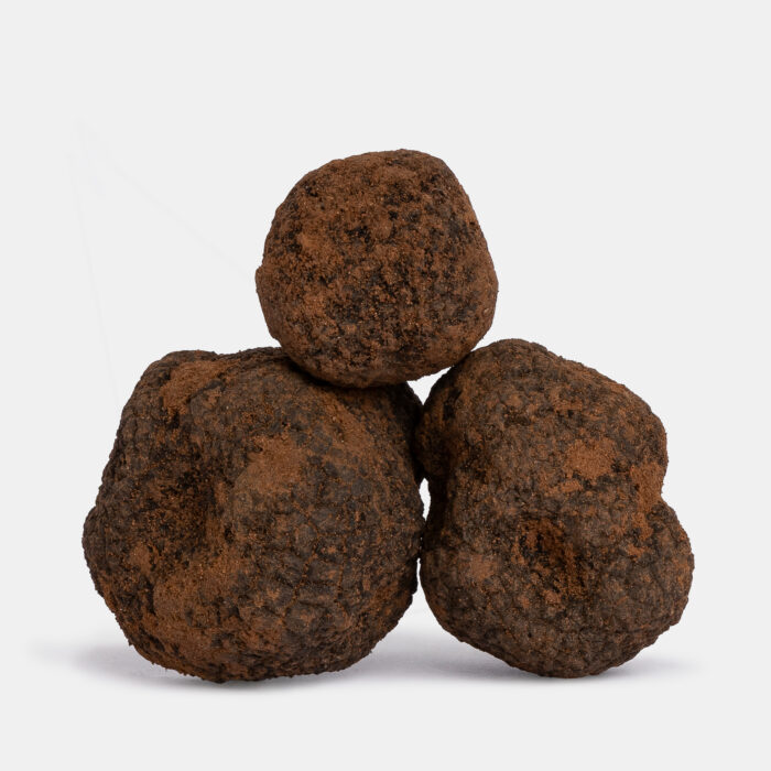 trufa-negra-fresca-teruel-destacada